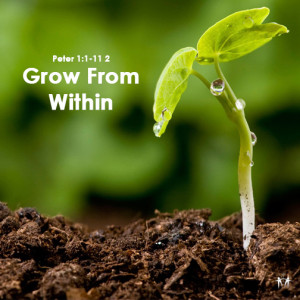 grow-from-within