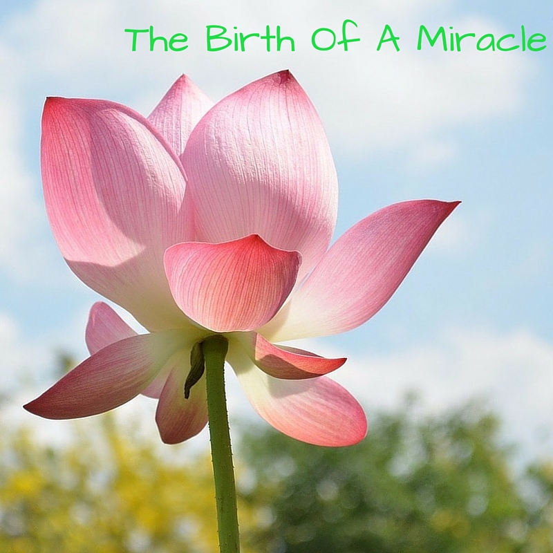 The Birth Of A Miracle (2)