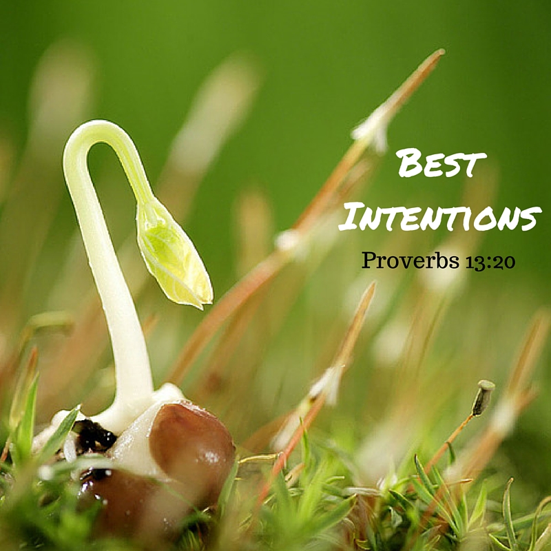 Best Intentions1